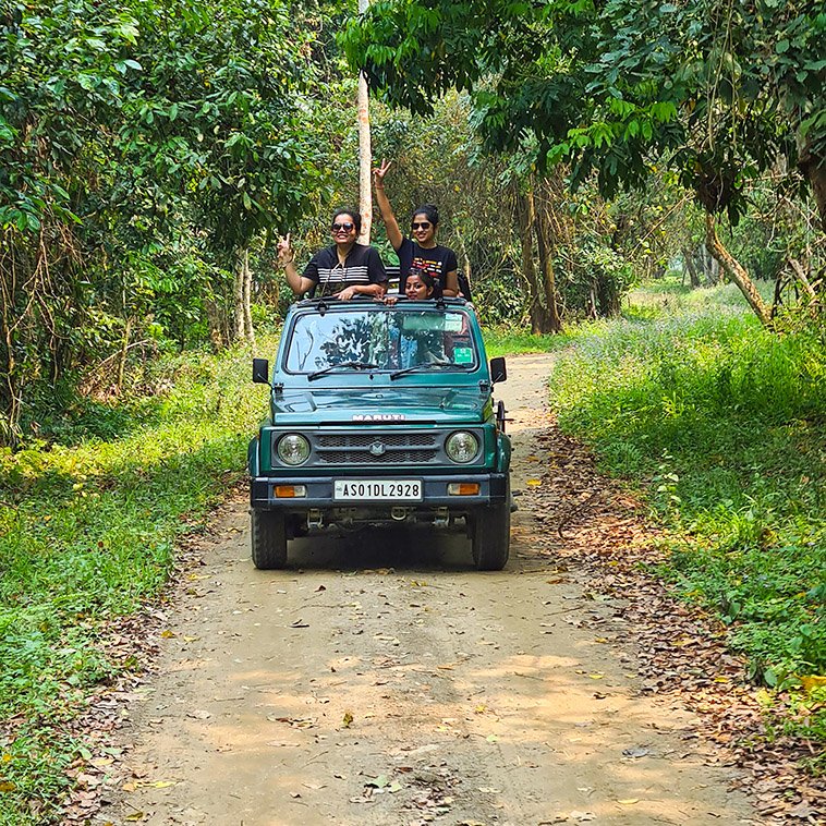 Kaziranga National Safari