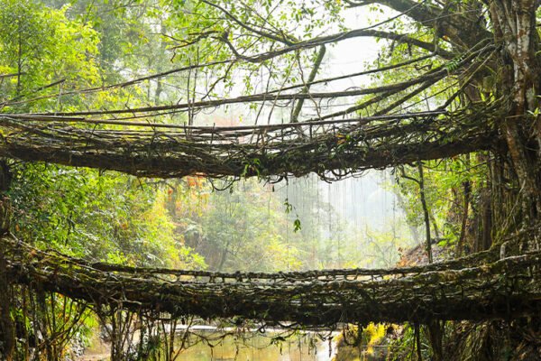 Meghalaya 6 days Tour Package