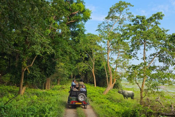 7 Days Meghalaya Tour including Kaziranga