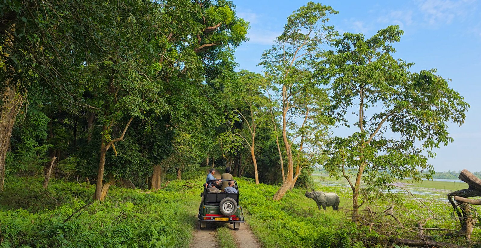 Kaziranga National Park