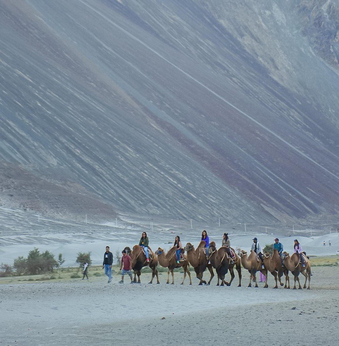doublehump ride in nubra-valley