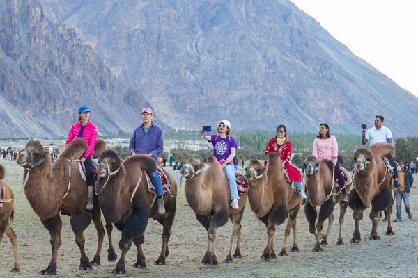 8 Days Leh Ladakh Tour Package including Turtuk