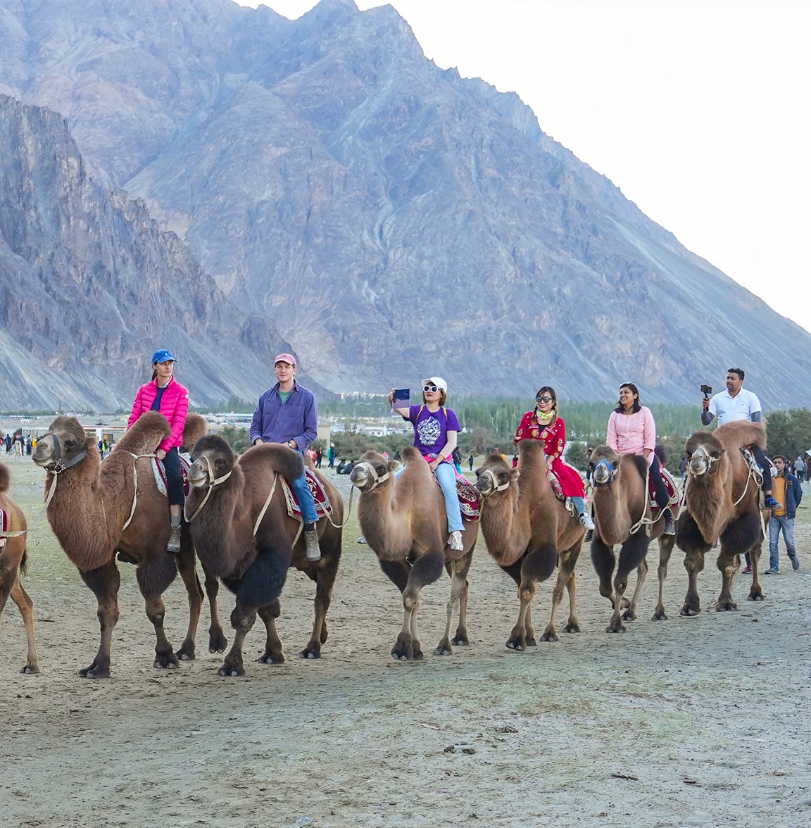 Nubra Valley, Ladakh