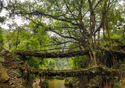 Places to Visit in Meghalaya