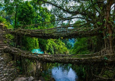 Double Decker Living Root Bridge 